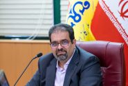 شبکه گاز کشور پایدار است
