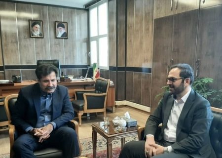 مدیرعامل بانک کشاورزی با معاون توسعه روستایی رئیس جمهور دیدار کرد