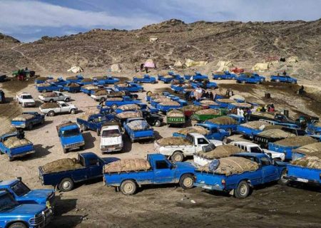 زخم عمیق قاچاق سوخت بر اقتصاد کشور